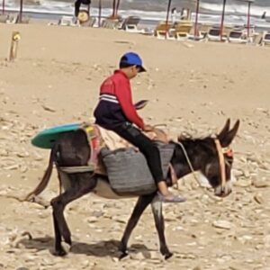 Marokko Gruppenreise Anzahlung und Buchung